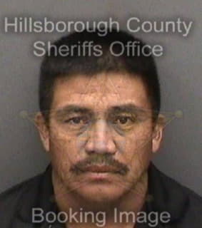 Perezgomez Juan - Hillsborough County, Florida 