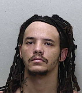 Raulerson Anthony - Marion County, Florida 