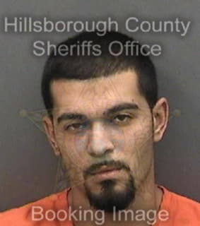 Romero Carlos - Hillsborough County, Florida 