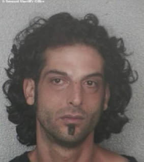 Lipkin David - Broward County, Florida 