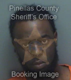 Stephens Demetrius - Pinellas County, Florida 