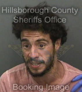 Cruz Ivan - Hillsborough County, Florida 