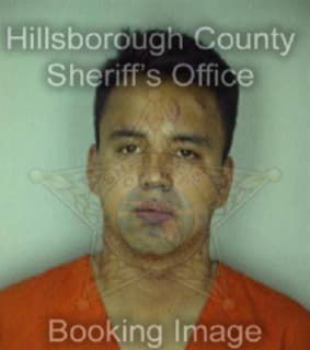 Benavidez Jose - Hillsborough County, Florida 