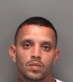 Medina Jose - Pinellas County, Florida 