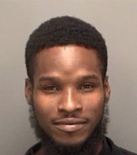 Brinson Renard - Pinellas County, Florida 