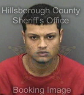 Vargas Reynaldo - Hillsborough County, Florida 