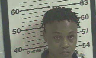 Joiner Tierra - Tunica County, Mississippi 