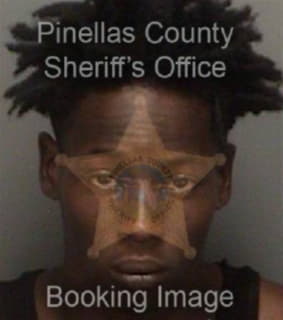 Bingham Tyree - Pinellas County, Florida 