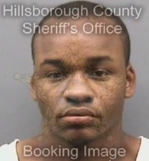 Arnold Jeffrey - Hillsborough County, Florida 