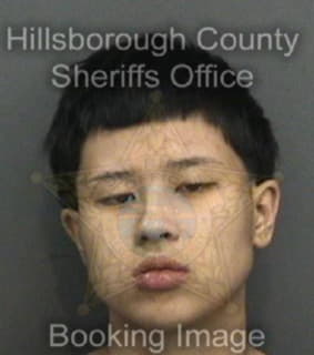 Nguyen Linda - Hillsborough County, Florida 