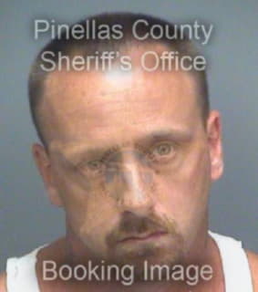 Hottinger Michael - Pinellas County, Florida 