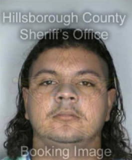 Ortez Nestor - Hillsborough County, Florida 