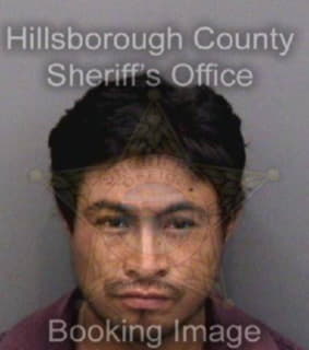 Perezgomez Rafael - Hillsborough County, Florida 