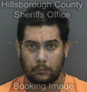 Dejesus Jose - Hillsborough County, Florida 