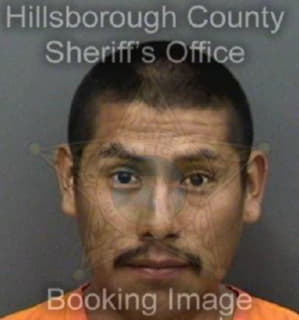 Ventura Jose - Hillsborough County, Florida 