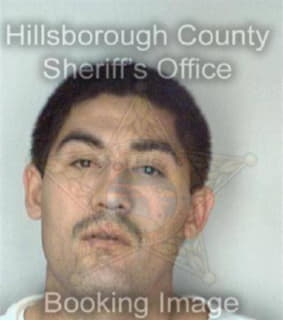 Ortiz Melendez - Hillsborough County, Florida 