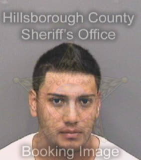 Vasquez Carlos - Hillsborough County, Florida 