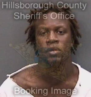 Robinson Dennis - Hillsborough County, Florida 