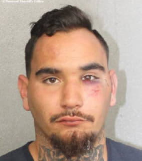 Gonzalez Dominic - Broward County, Florida 