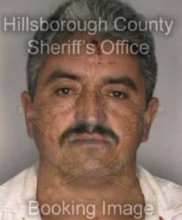 Diaz Filiberto - Hillsborough County, Florida 