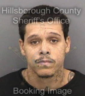 Anderson Christopher - Hillsborough County, Florida 