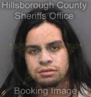 Arman Johnny - Hillsborough County, Florida 