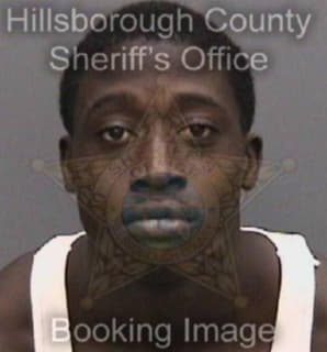 Williams Korey - Hillsborough County, Florida 