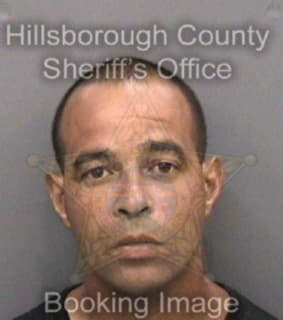 Ortiz Luis - Hillsborough County, Florida 