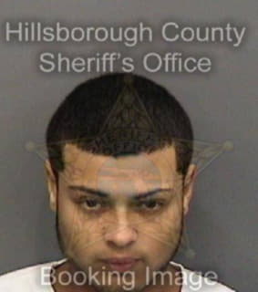 Vargas Reynaldo - Hillsborough County, Florida 