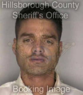 Aponte Richard - Hillsborough County, Florida 