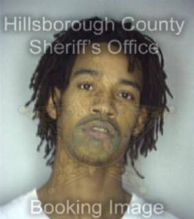 Davis Jeffrey - Hillsborough County, Florida 