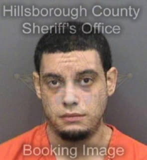 Paulino Rapheal - Hillsborough County, Florida 