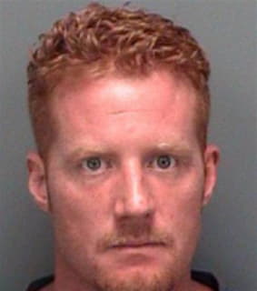 Diskerud David - Pinellas County, Florida 