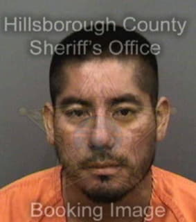 Rodriguezgomez Eugenio - Hillsborough County, Florida 