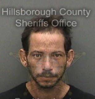 Dejesus Ramon - Hillsborough County, Florida 