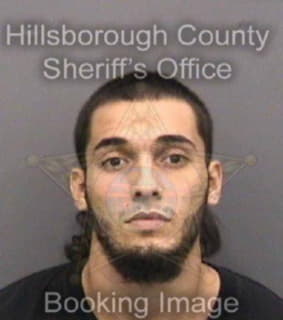 Oyanguren Carlos - Hillsborough County, Florida 