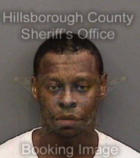 Alexander Hassan - Hillsborough County, Florida 