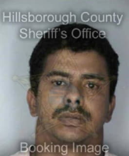 Cortes Jose - Hillsborough County, Florida 