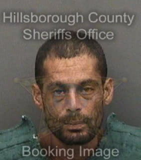 Ortiz Michael - Hillsborough County, Florida 