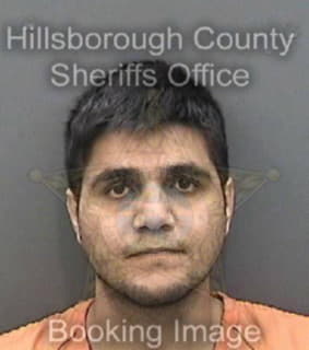 Vosoughi Mohammad - Hillsborough County, Florida 