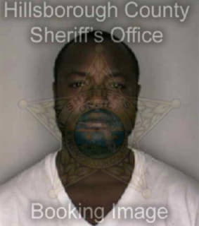 Williams Rodney - Hillsborough County, Florida 