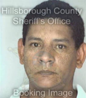 Hernandezhuertas Ramon - Hillsborough County, Florida 