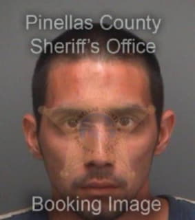 Robertson Daniel - Pinellas County, Florida 