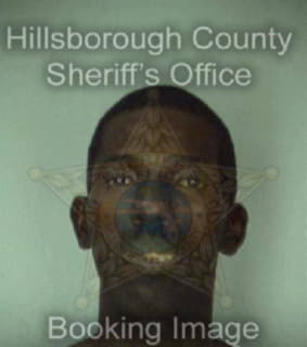 Wilson Raymond - Hillsborough County, Florida 