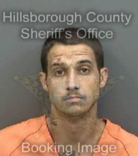 Perez Ryan - Hillsborough County, Florida 