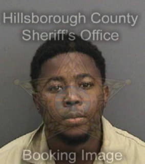 Lopez Deandre - Hillsborough County, Florida 