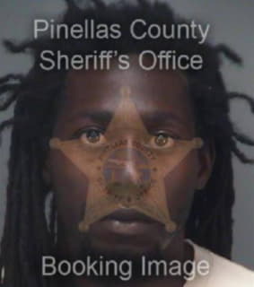 Johnson Demetrius - Pinellas County, Florida 