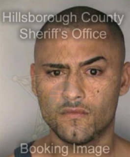 Rivera Luis - Hillsborough County, Florida 