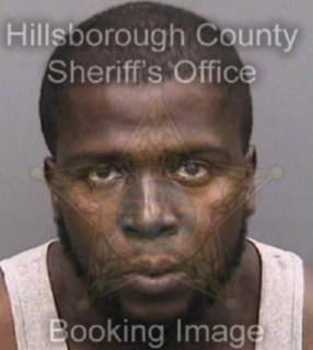 Williams Ryan - Hillsborough County, Florida 