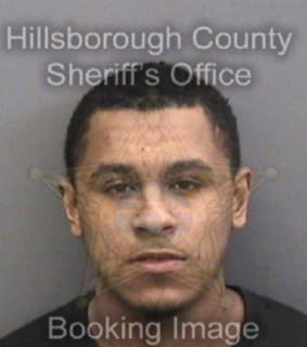 Lewis Tyler - Hillsborough County, Florida 